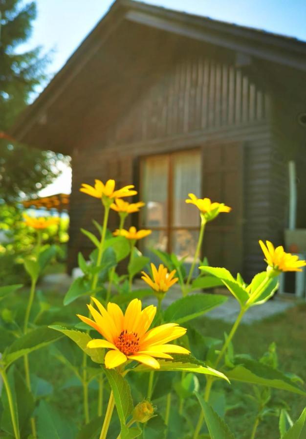 Merikotka - A Cozy Wooden Cottage, Slovenia Braslovce Exterior foto