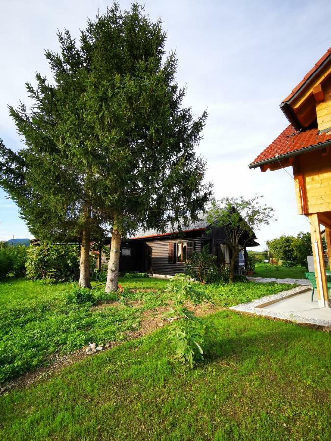 Merikotka - A Cozy Wooden Cottage, Slovenia Braslovce Exterior foto