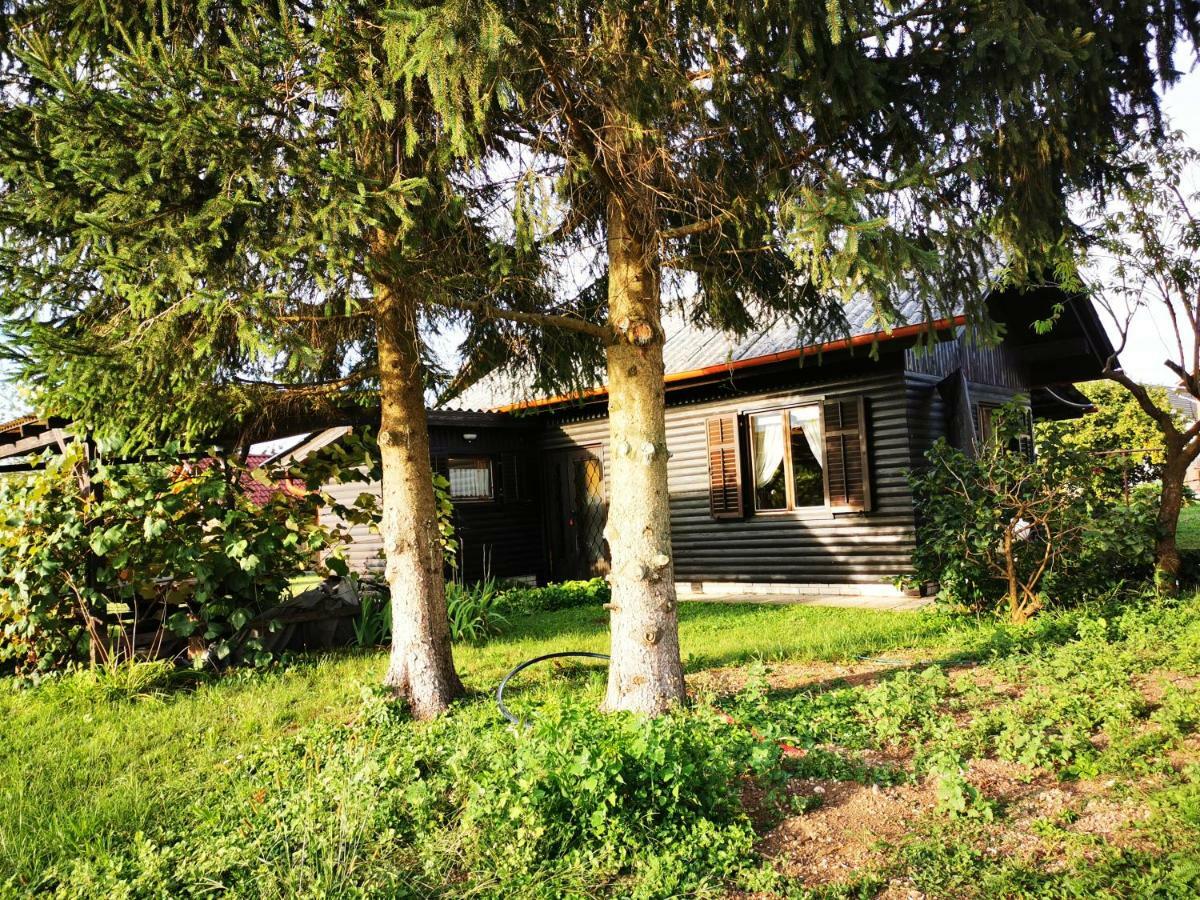 Merikotka - A Cozy Wooden Cottage, Slovenia Braslovce Exterior foto